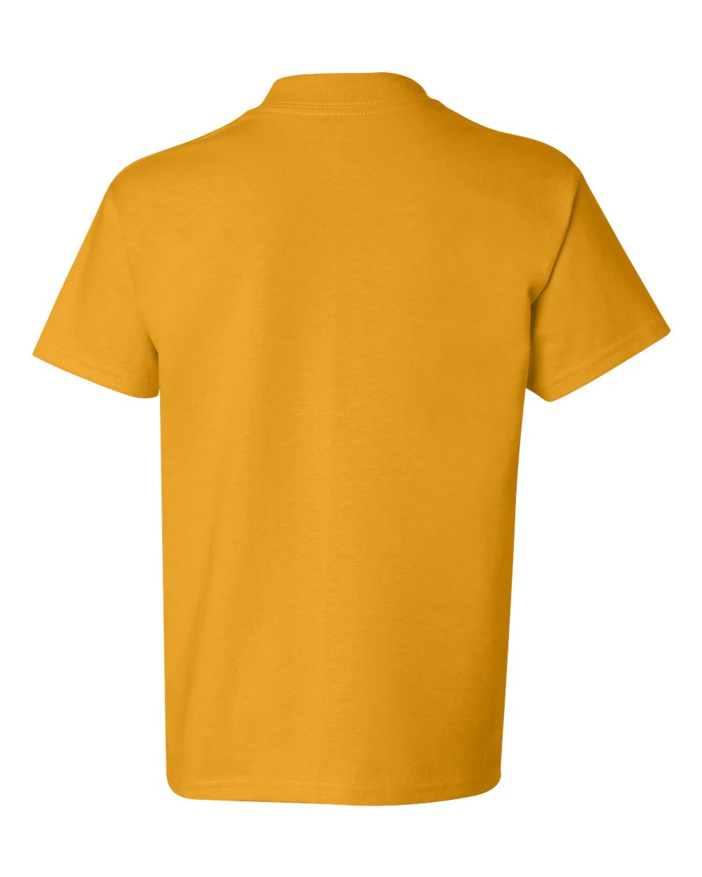 Hanes-5450-Authentic Youth T-Shirt - Image 69
