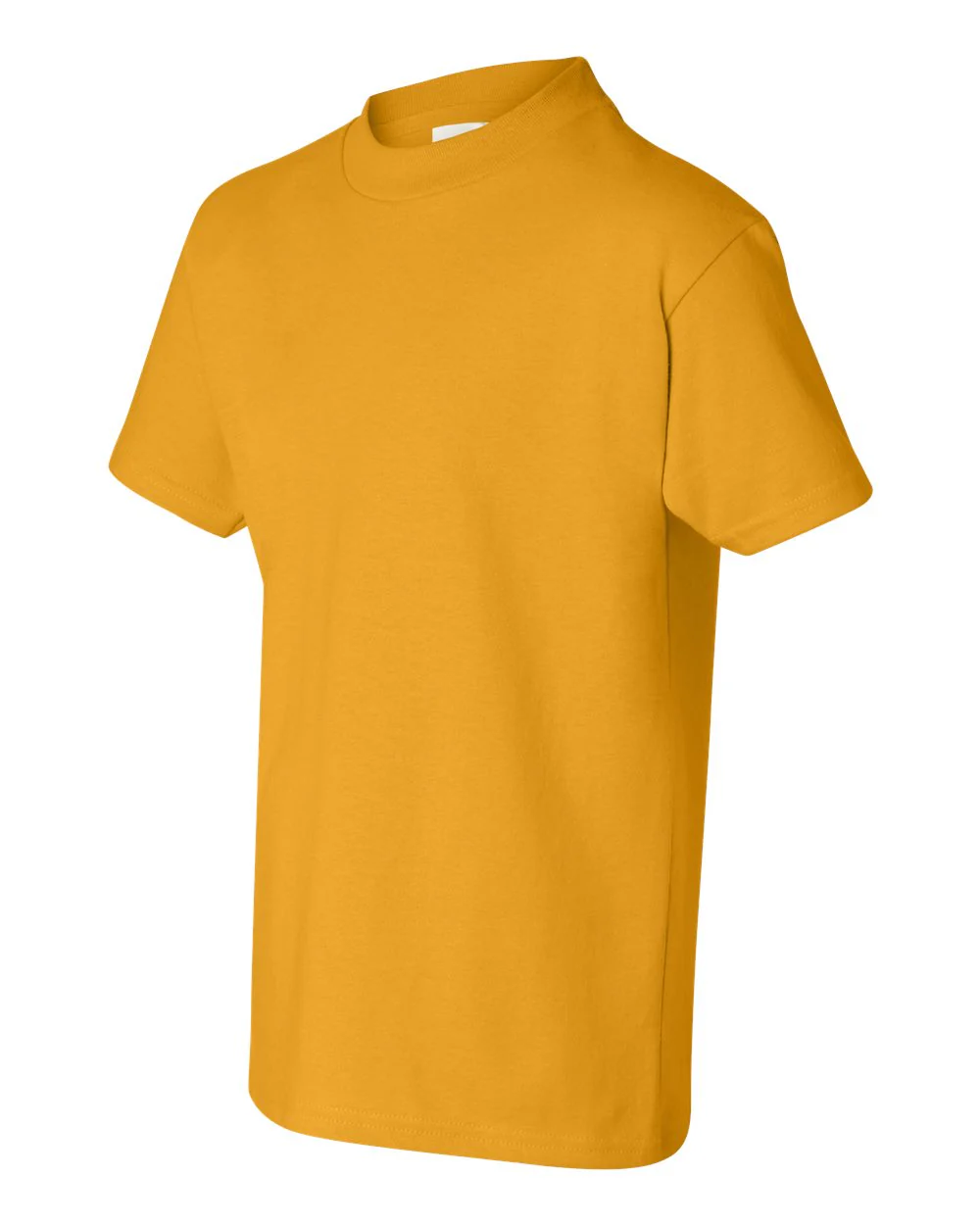 Hanes-5450-Authentic Youth T-Shirt - Image 70