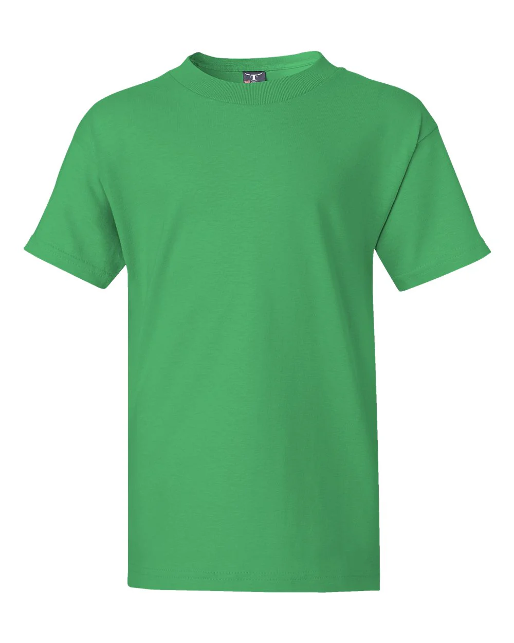 Hanes-5450-Authentic Youth T-Shirt - Image 74