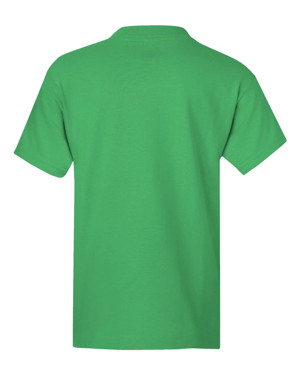 Hanes-5450-Authentic Youth T-Shirt - Image 75
