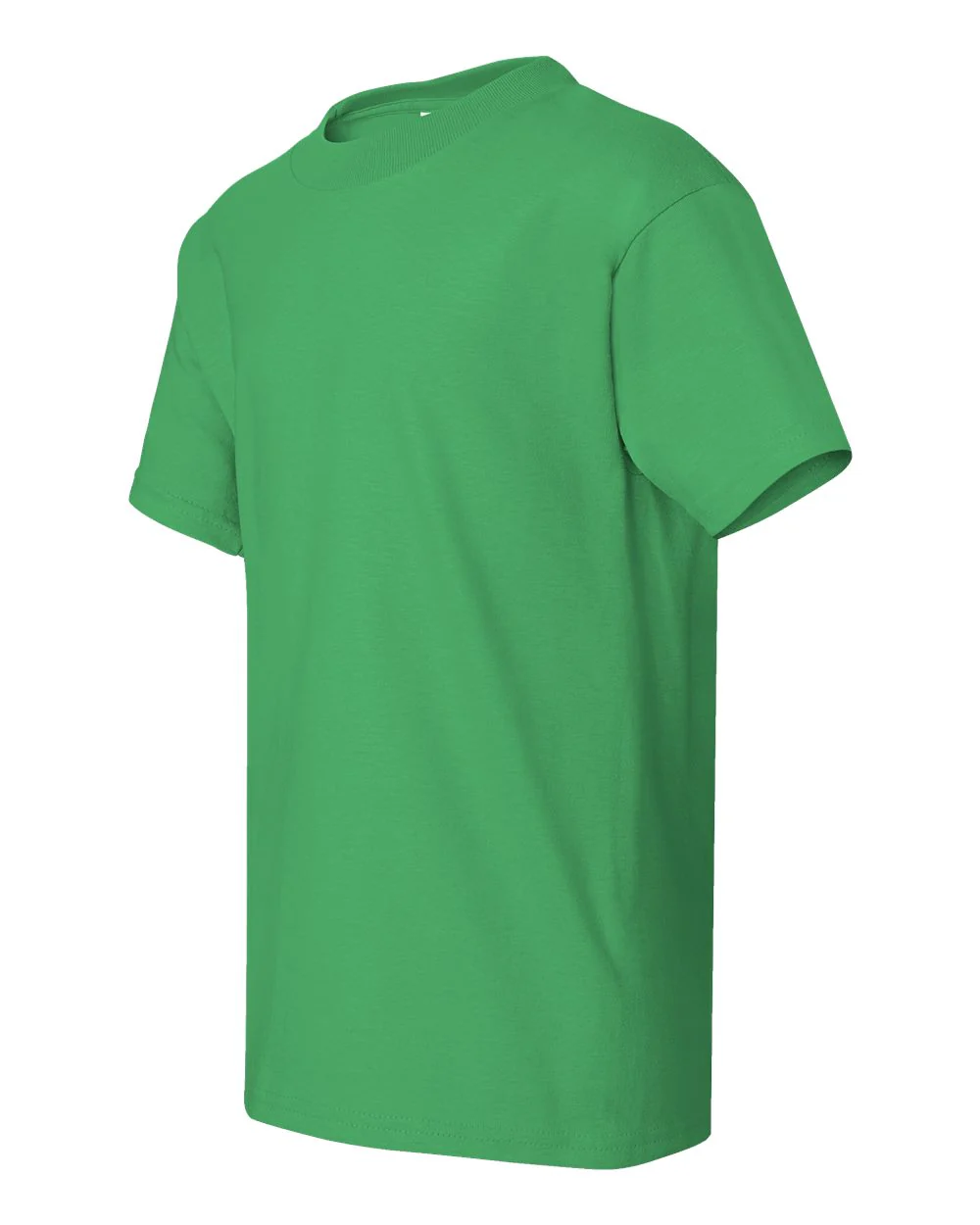 Hanes-5450-Authentic Youth T-Shirt - Image 76