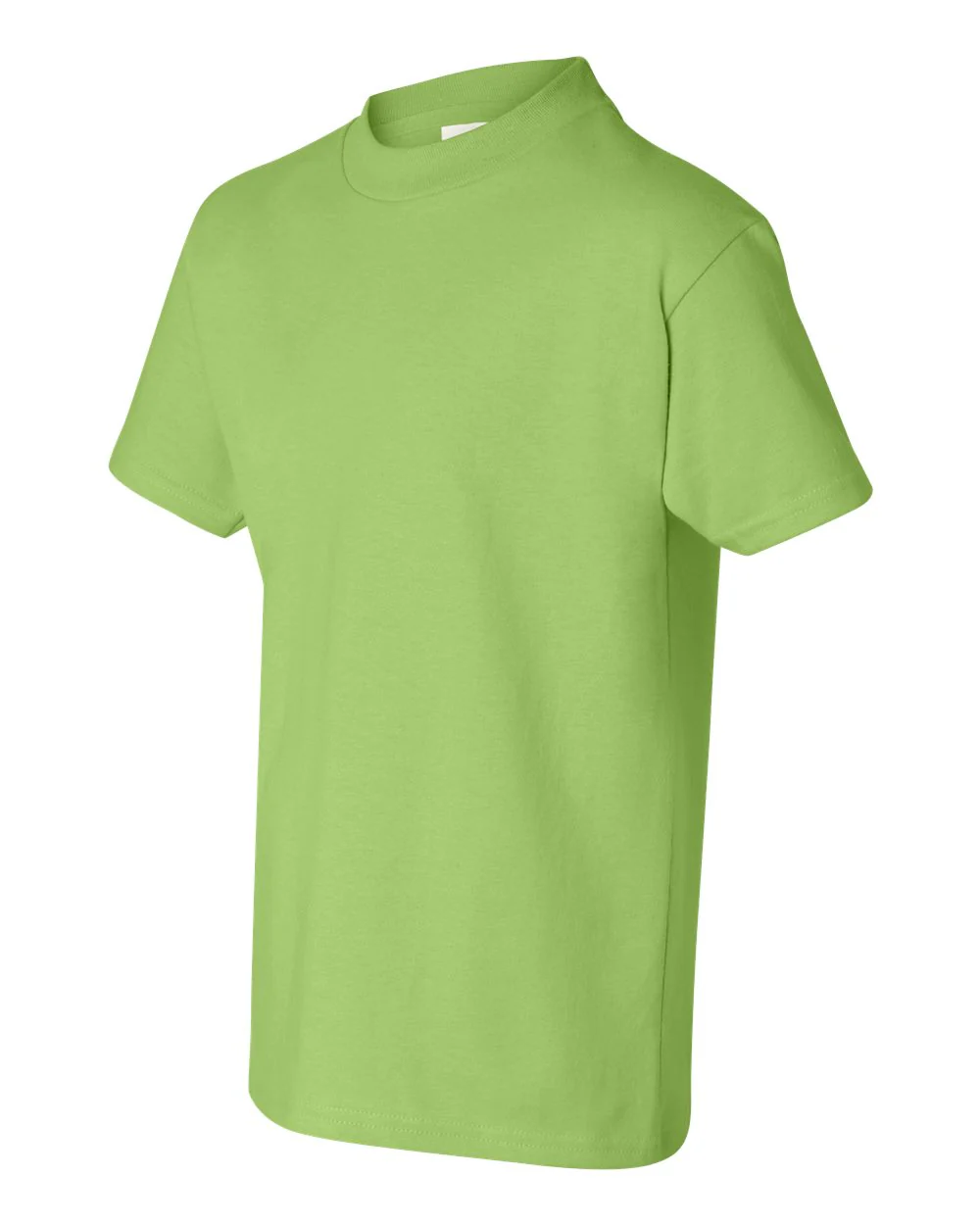 Hanes-5450-Authentic Youth T-Shirt - Image 98
