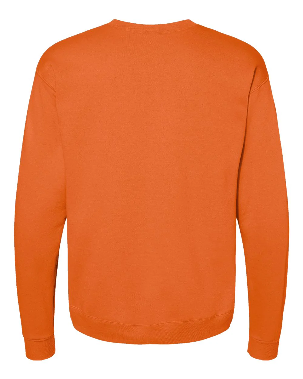 Hanes-P160-Ecosmart® Crewneck Sweatshirt - Image 129