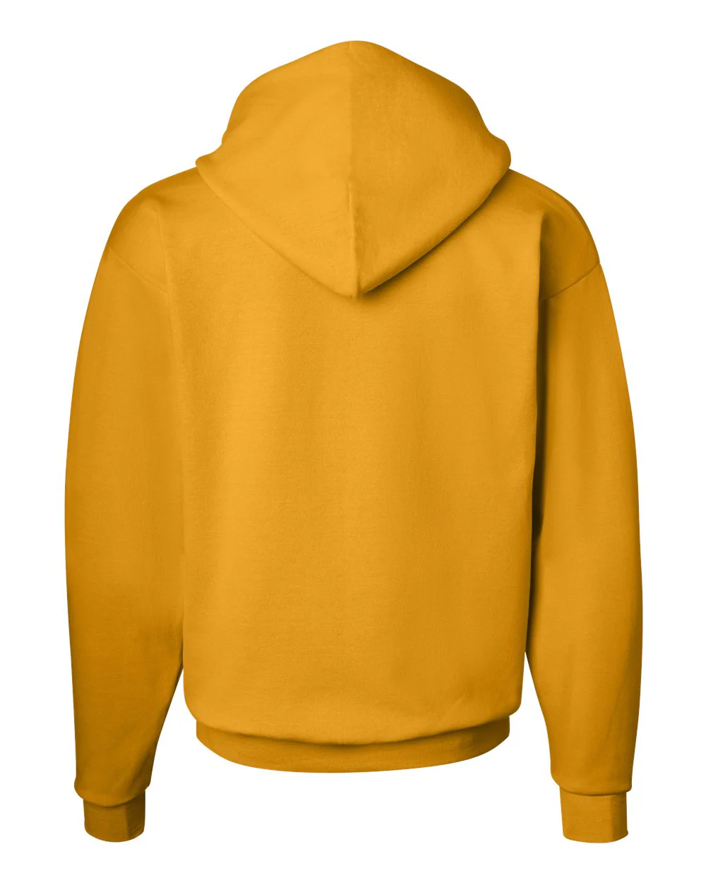 Hanes-P170-Ecosmart® Hooded Sweatshirt - Image 122