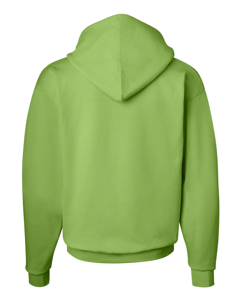 Hanes-P170-Ecosmart® Hooded Sweatshirt - Image 158