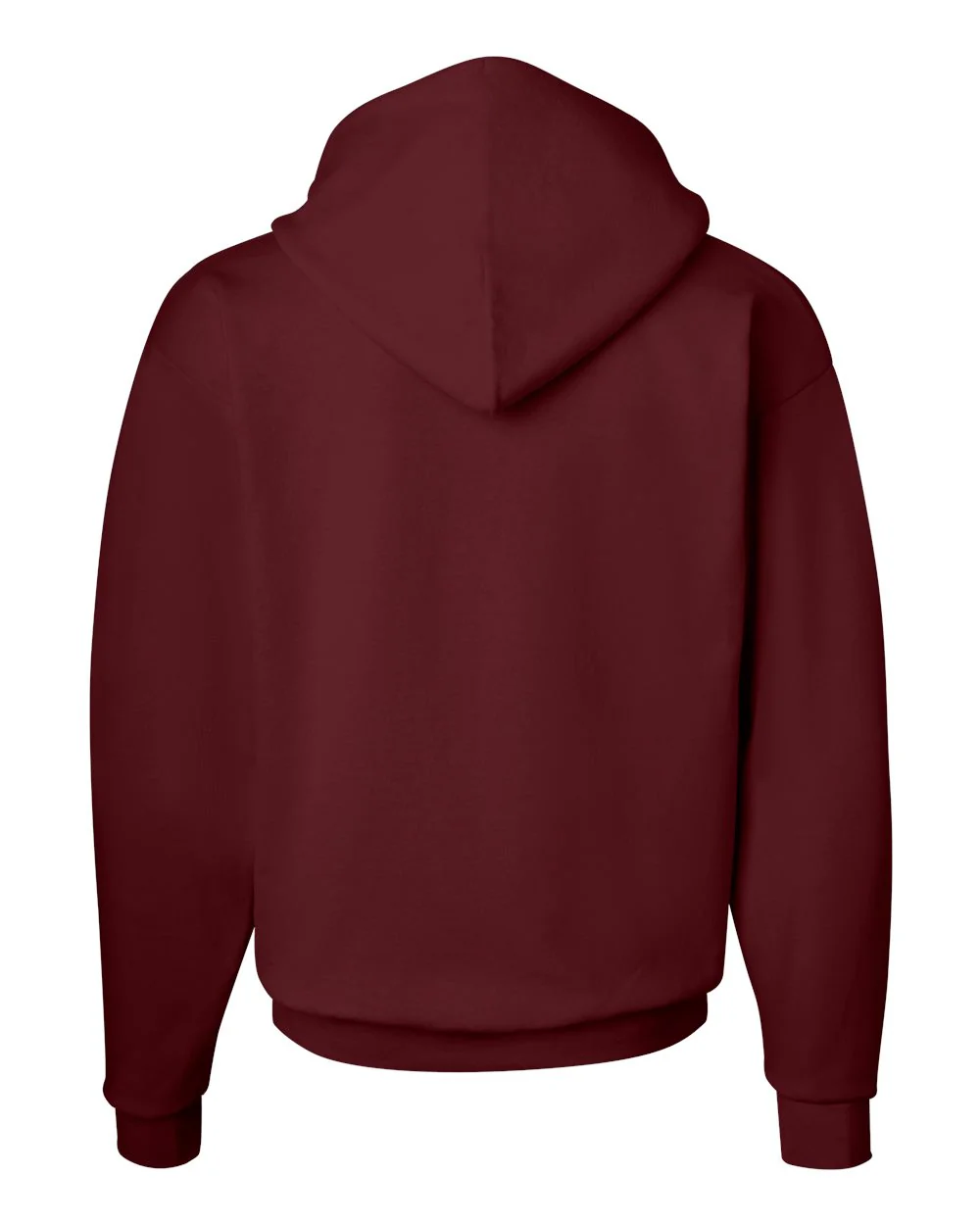 Hanes-P170-Ecosmart® Hooded Sweatshirt - Image 164