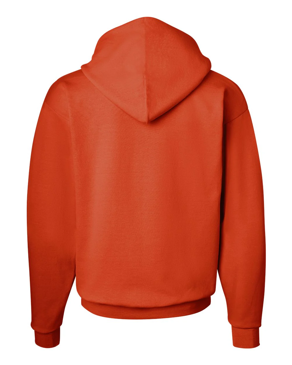 Hanes-P170-Ecosmart® Hooded Sweatshirt - Image 176