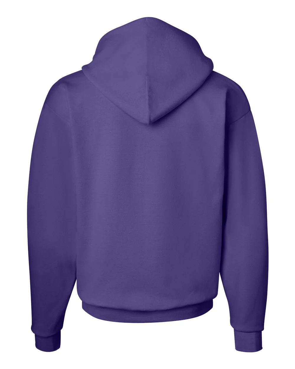 Hanes-P170-Ecosmart® Hooded Sweatshirt - Image 188