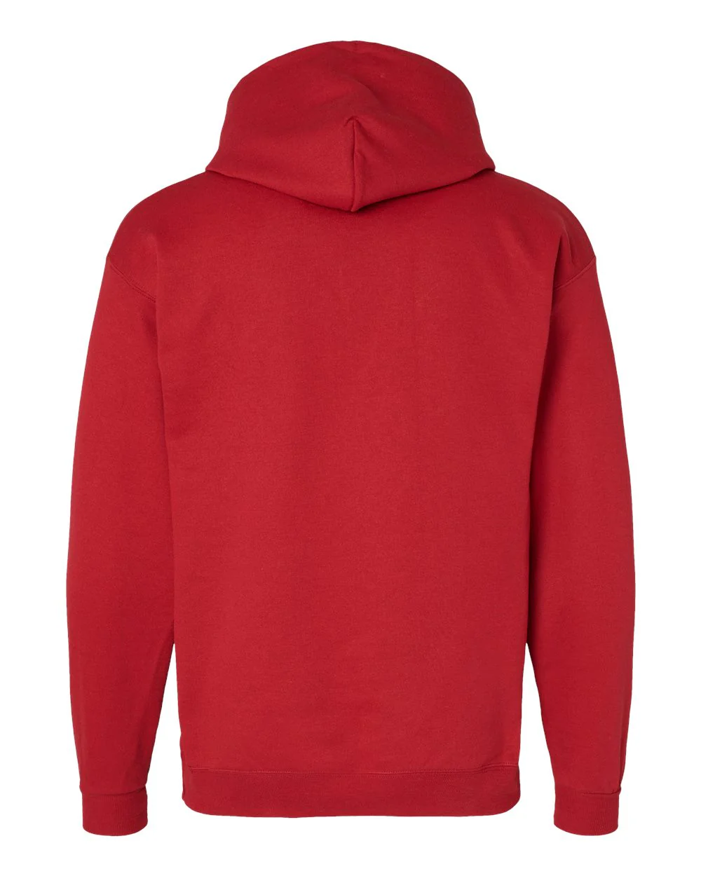 Hanes-P170-Ecosmart® Hooded Sweatshirt - Image 21