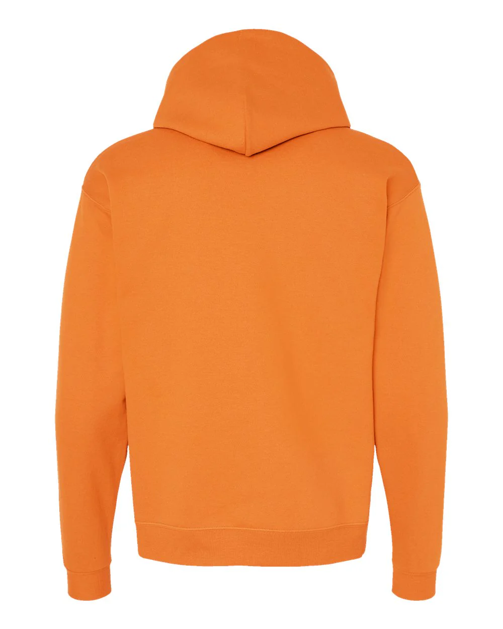 Hanes-P170-Ecosmart® Hooded Sweatshirt - Image 227