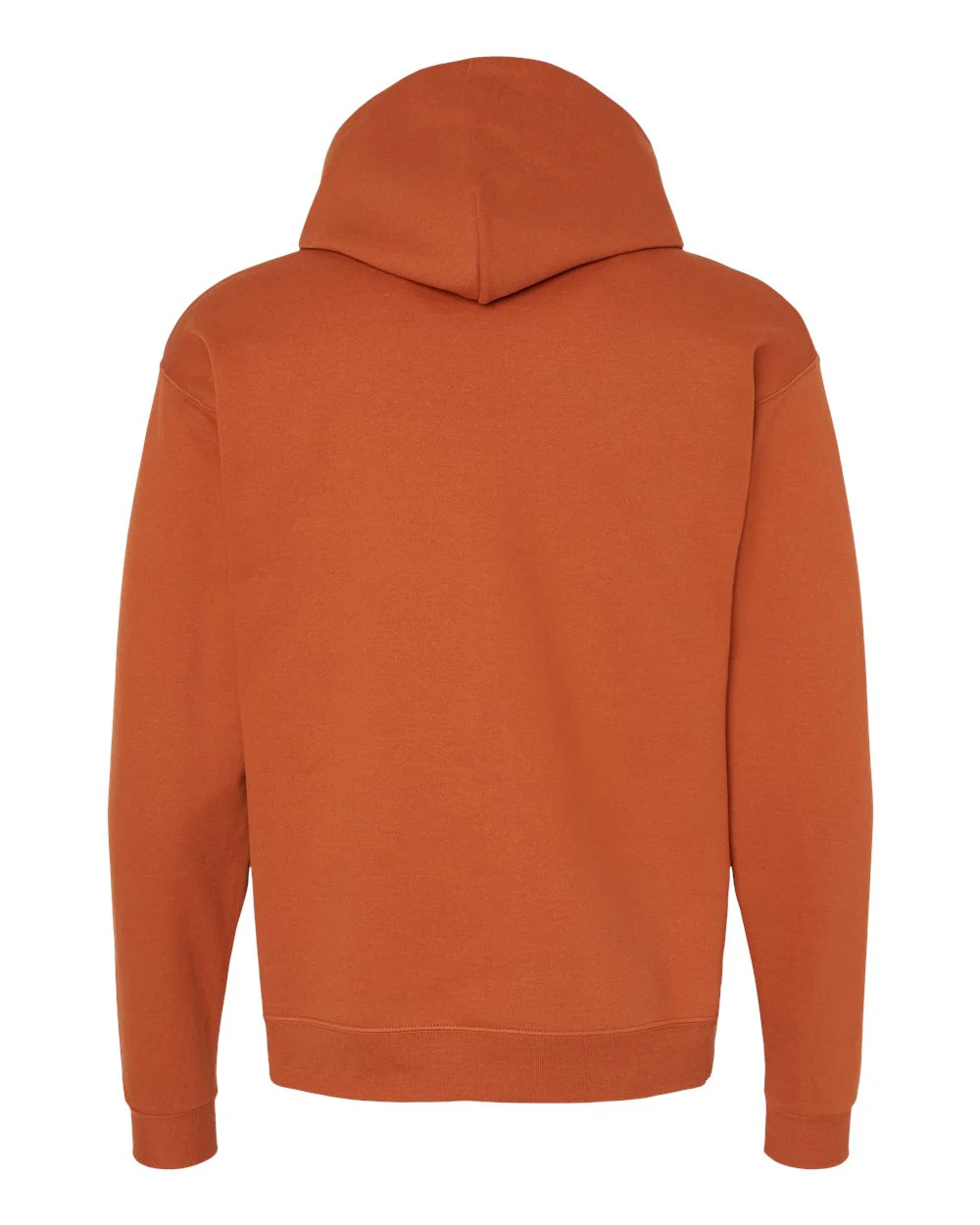 Hanes-P170-Ecosmart® Hooded Sweatshirt - Image 232