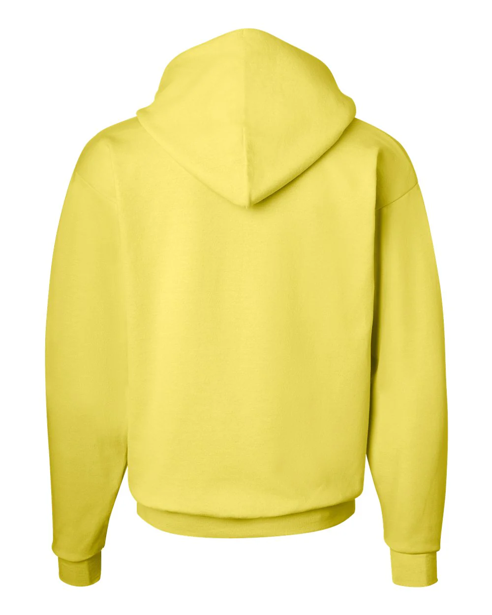 Hanes-P170-Ecosmart® Hooded Sweatshirt - Image 249