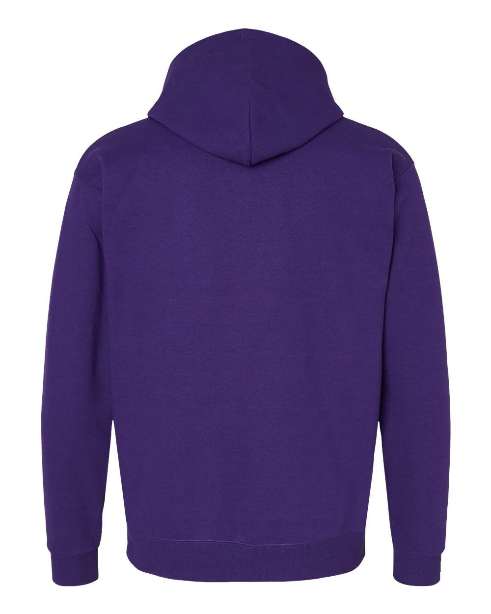 Hanes-P170-Ecosmart® Hooded Sweatshirt - Image 45