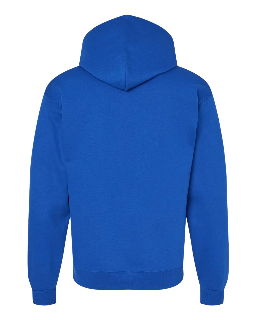 Hanes-P170-Ecosmart® Hooded Sweatshirt - Image 56