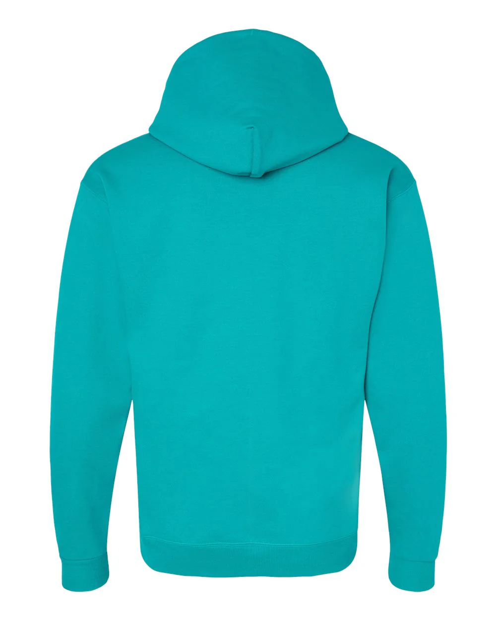 Hanes-P170-Ecosmart® Hooded Sweatshirt - Image 62