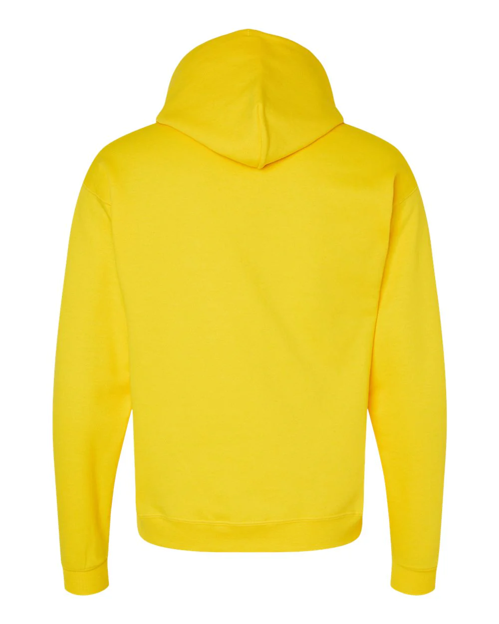 Hanes-P170-Ecosmart® Hooded Sweatshirt - Image 68