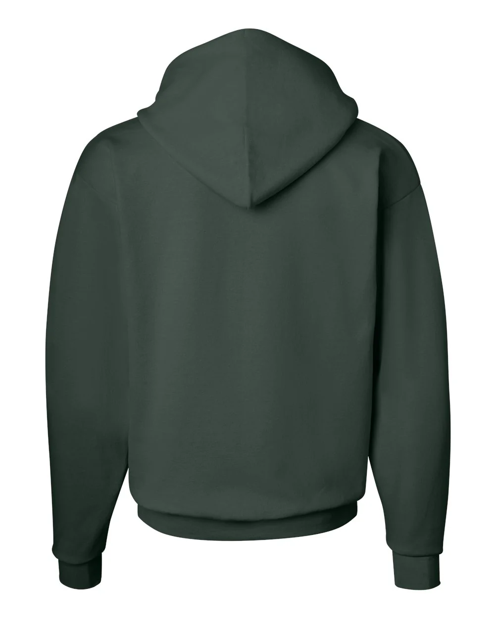 Hanes-P170-Ecosmart® Hooded Sweatshirt - Image 92