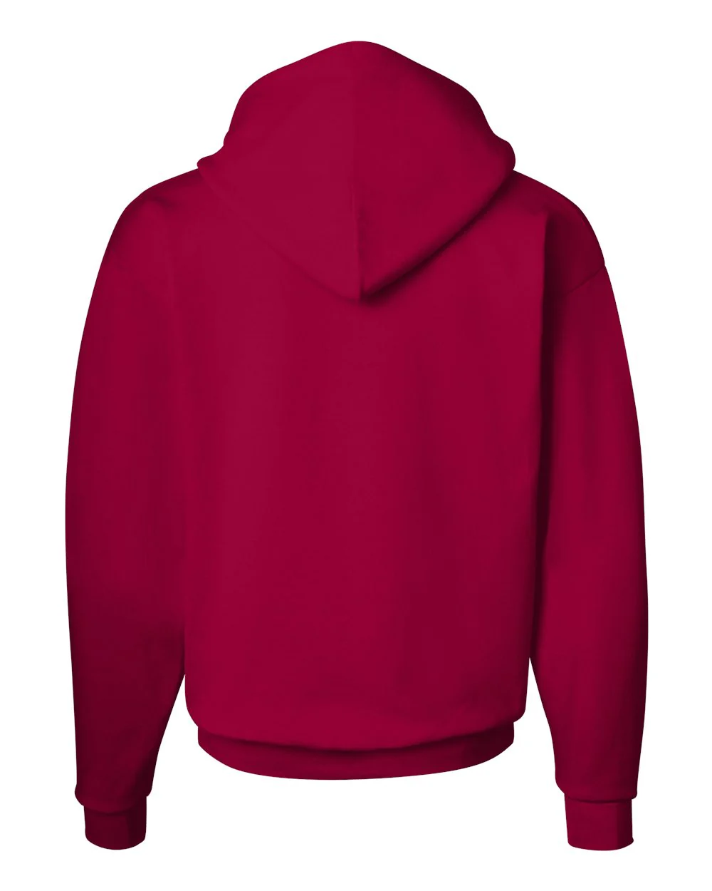 Hanes-P170-Ecosmart® Hooded Sweatshirt - Image 98