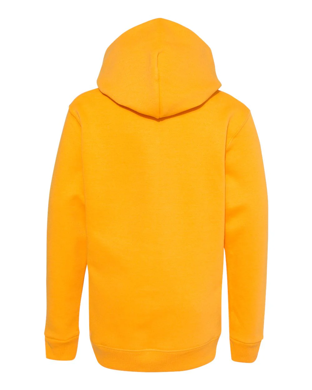 Hanes-P473-Ecosmart® Youth Hooded Sweatshirt - Image 39