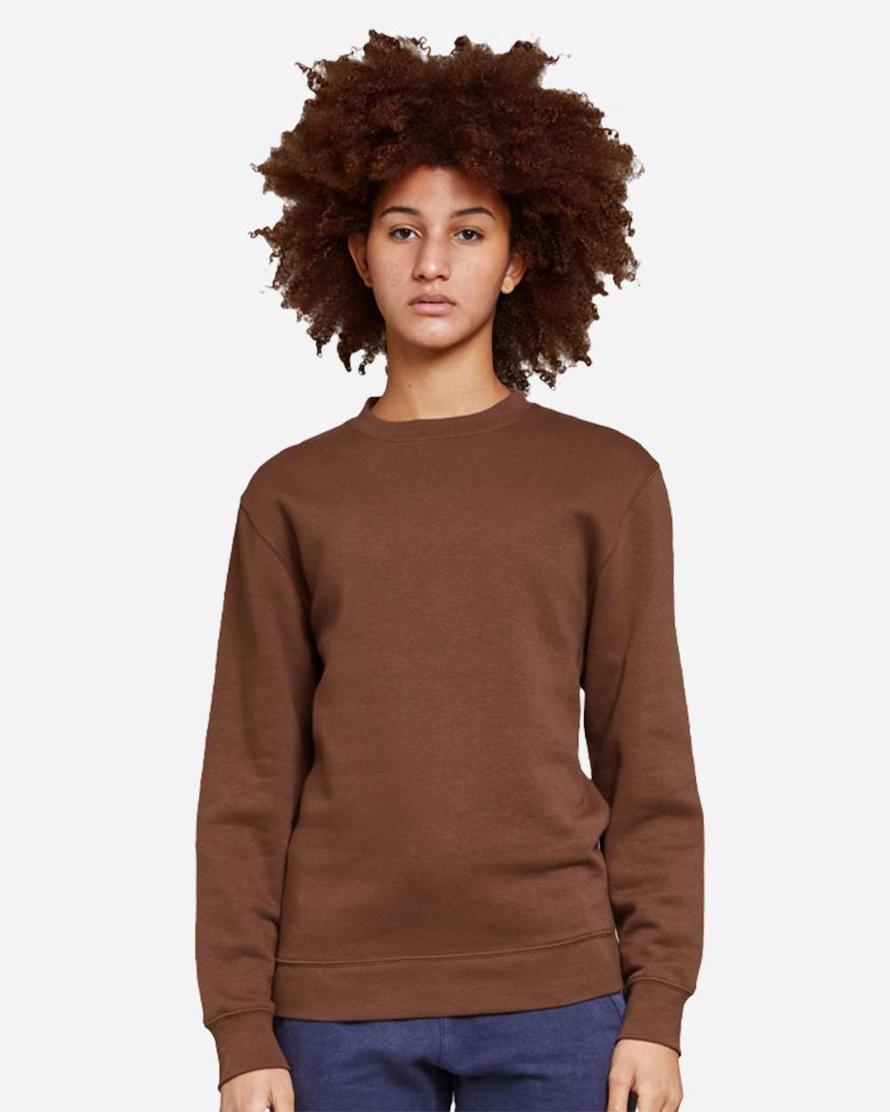 Lane Seven-LS14004-Premium Crewneck Sweatshirt - Image 14