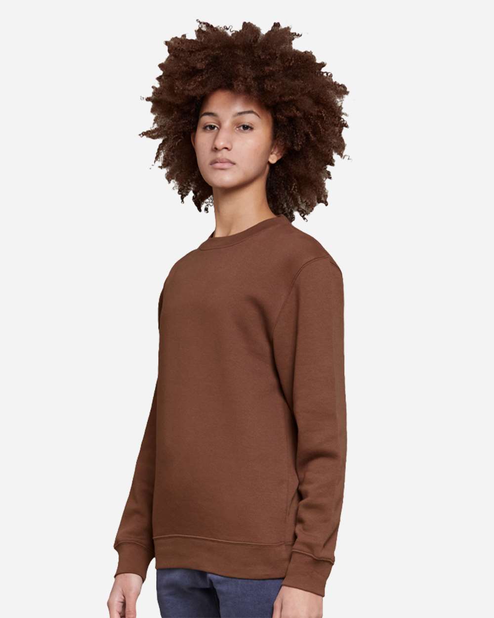 Lane Seven-LS14004-Premium Crewneck Sweatshirt - Image 15