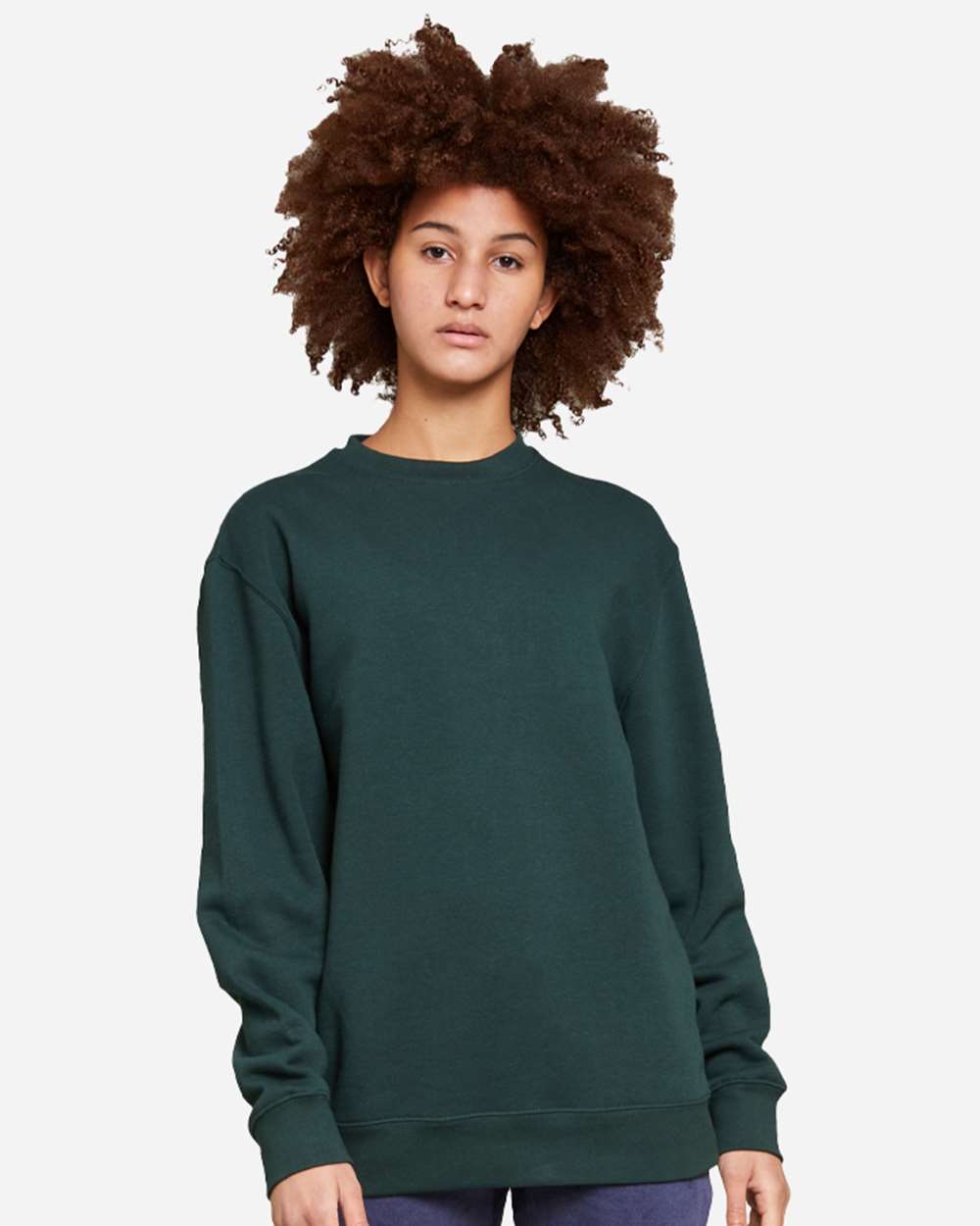 Lane Seven-LS14004-Premium Crewneck Sweatshirt - Image 54