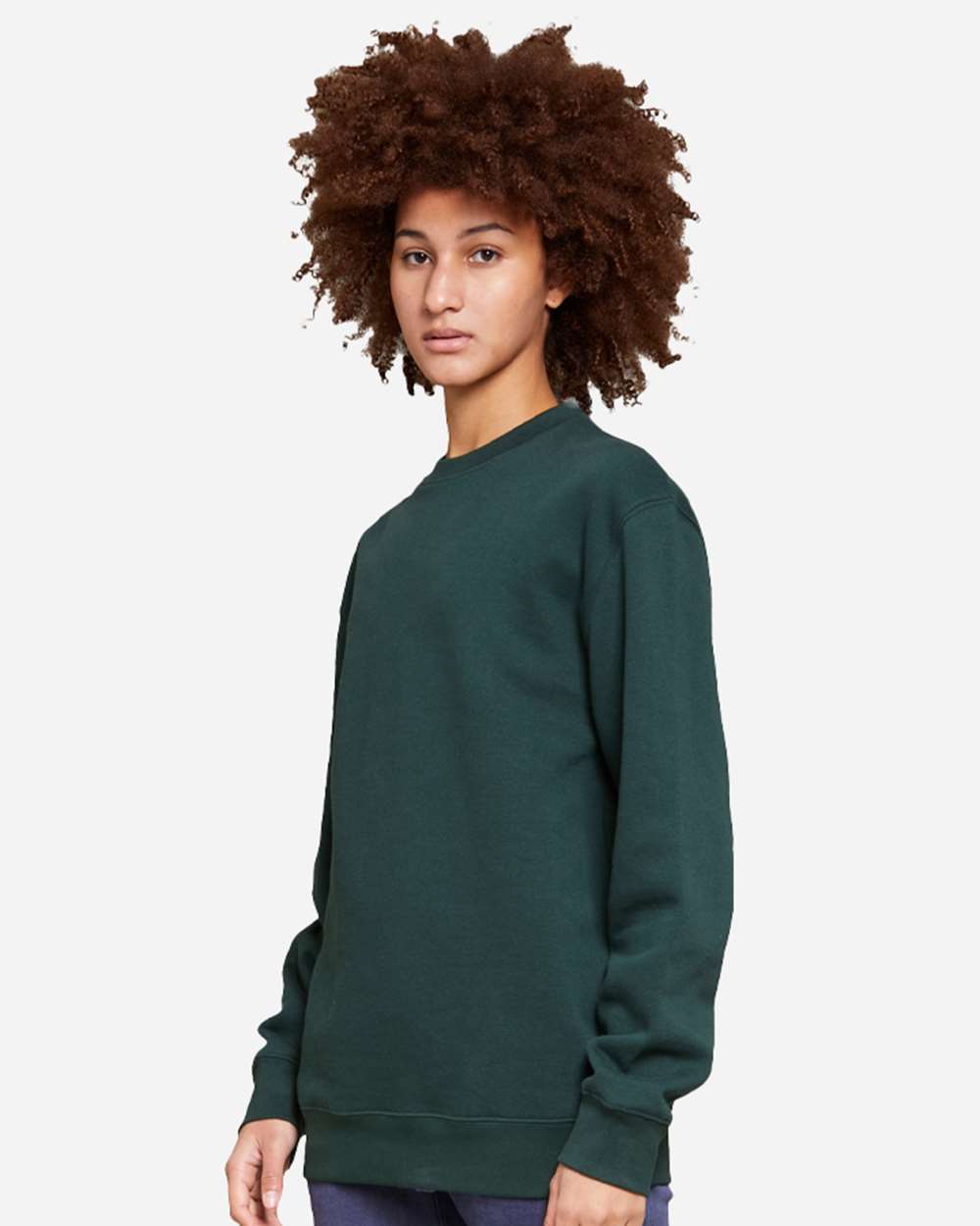 Lane Seven-LS14004-Premium Crewneck Sweatshirt - Image 55