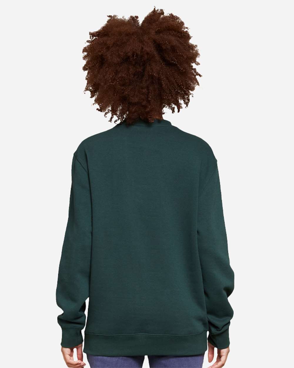 Lane Seven-LS14004-Premium Crewneck Sweatshirt - Image 56