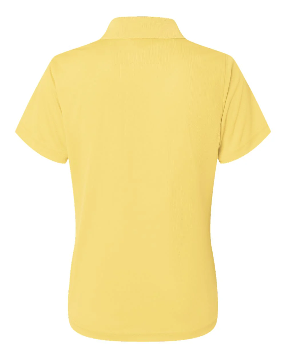 Paragon-104-Women's Saratoga Performance Mini Mesh Polo - Image 15