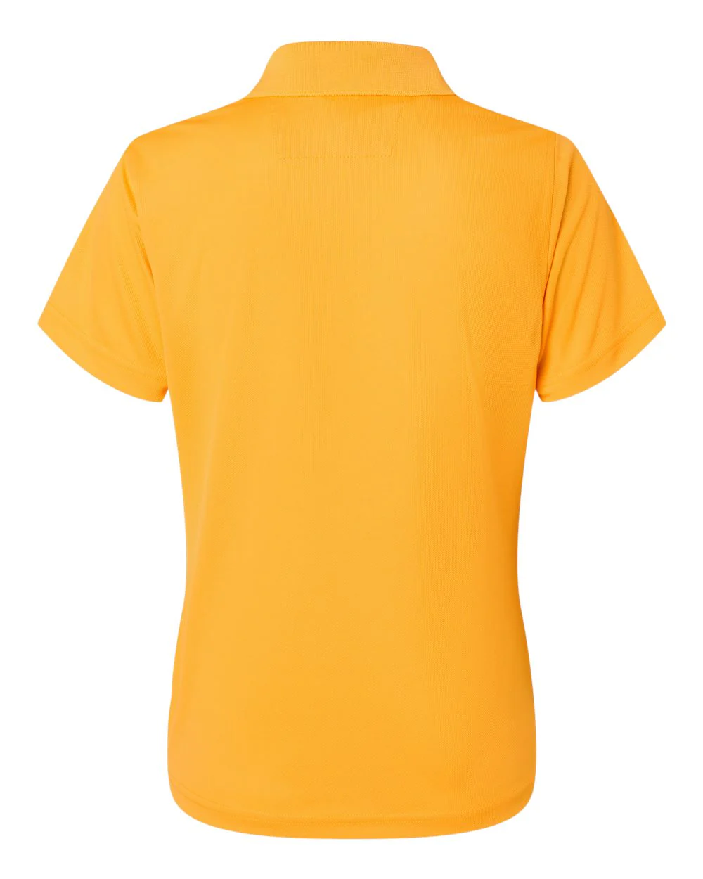 Paragon-104-Women's Saratoga Performance Mini Mesh Polo - Image 39