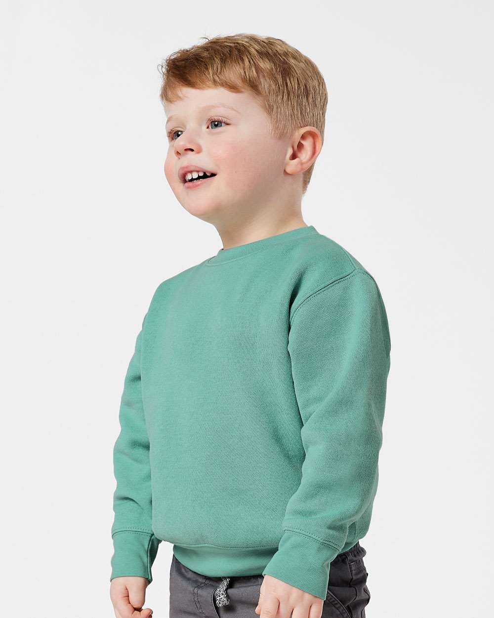 Rabbit Skins-3317-Toddler Fleece Crewneck Sweatshirt - Image 72